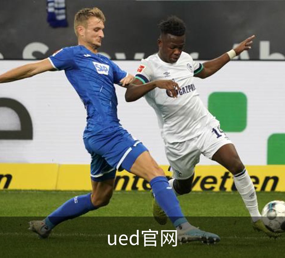 ued官网概况